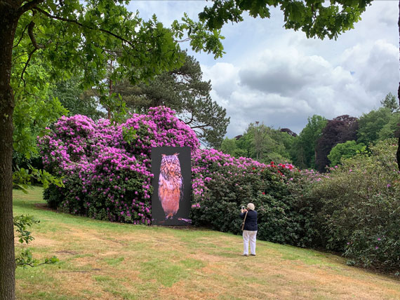 Soestdijk encounter